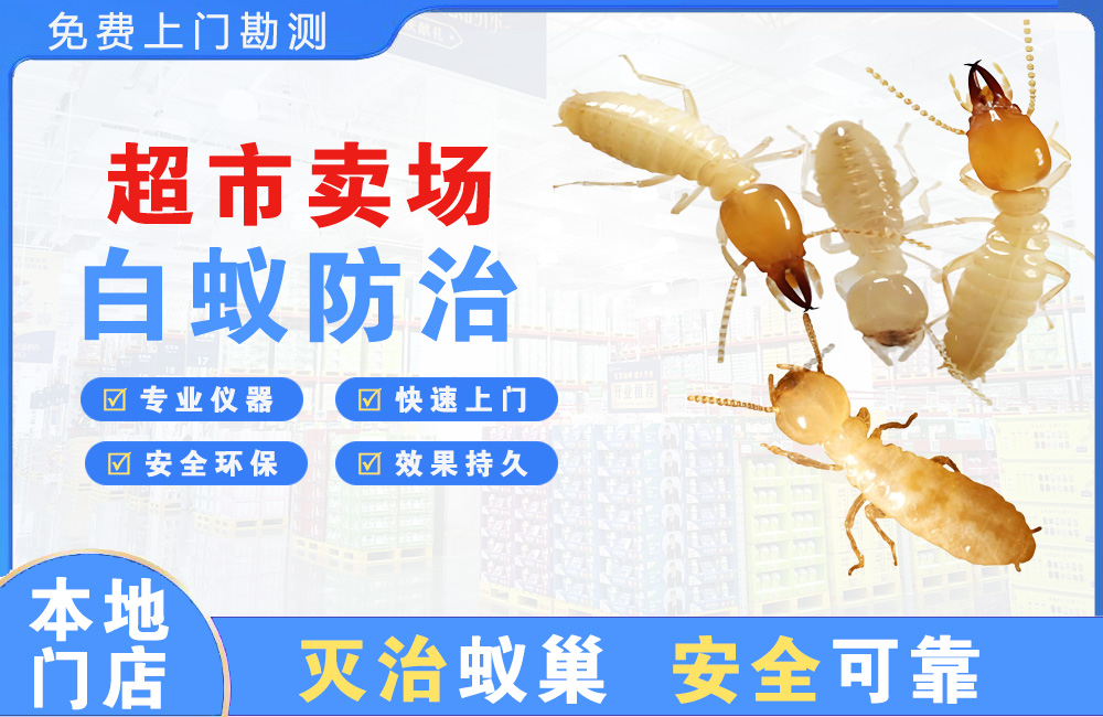 福安超市卖场白蚁防治