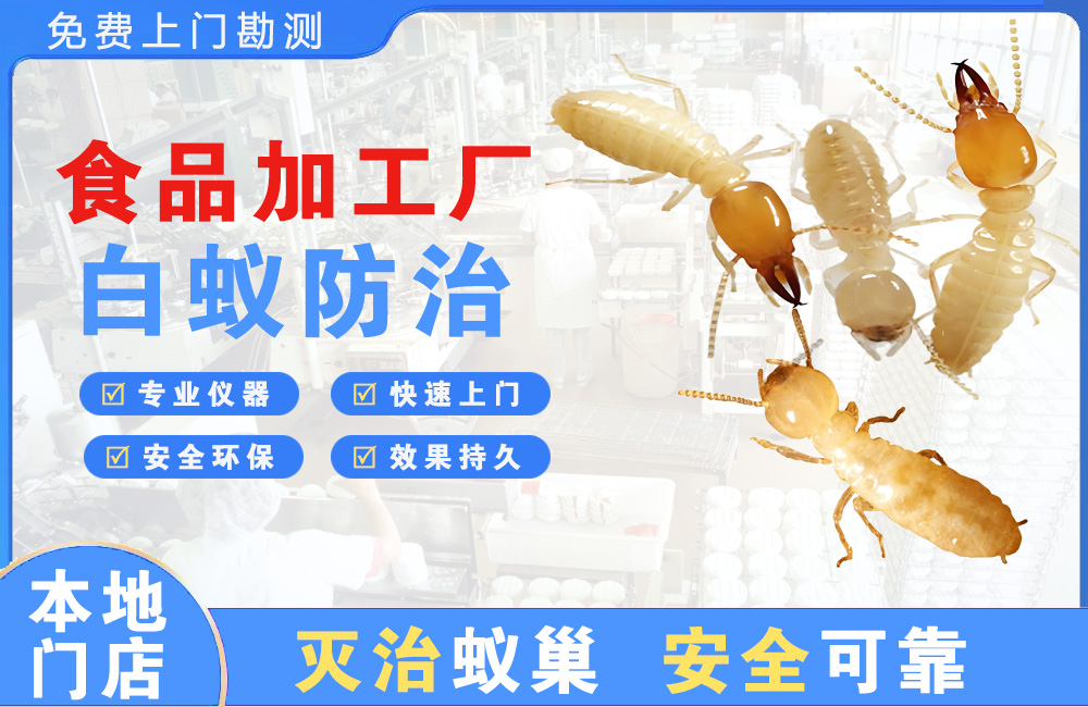 福安食品加工厂白蚁防治