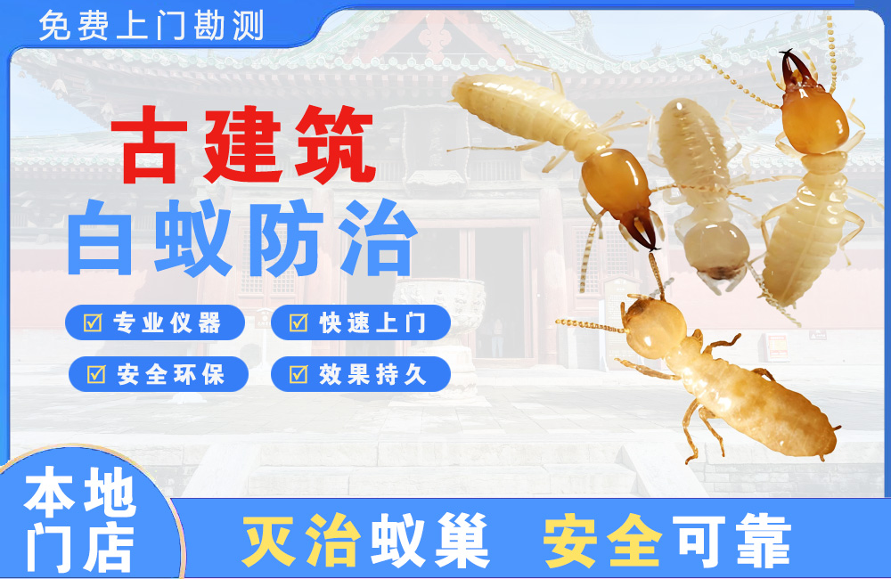 福安古建筑白蚁防治