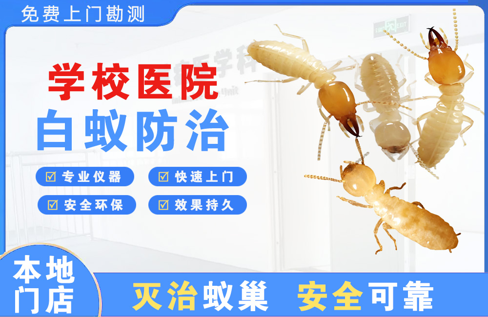 福安学校医院白蚁防治
