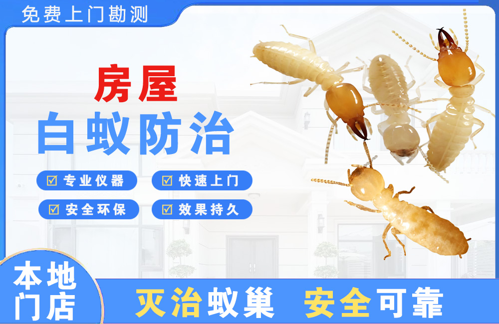 福安房屋白蚁防治