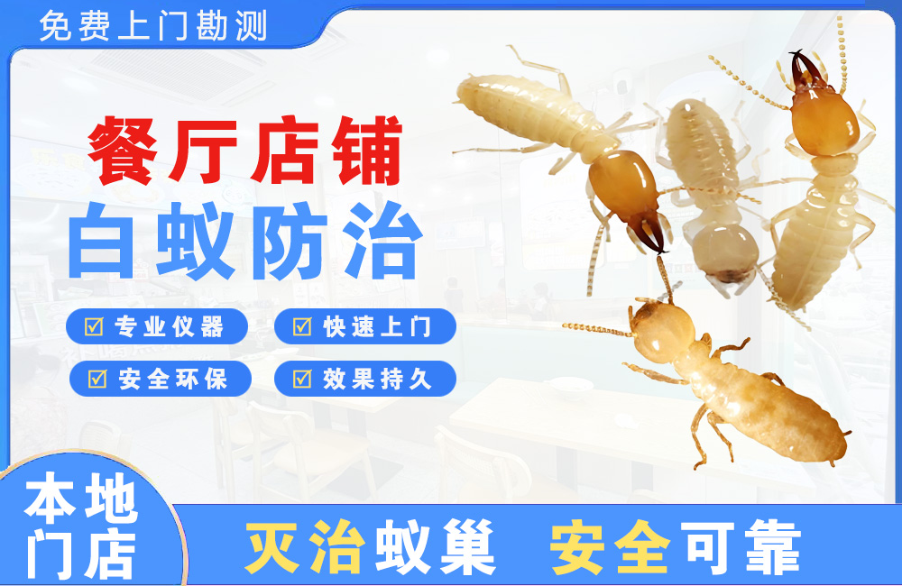福安餐厅店铺白蚁防治